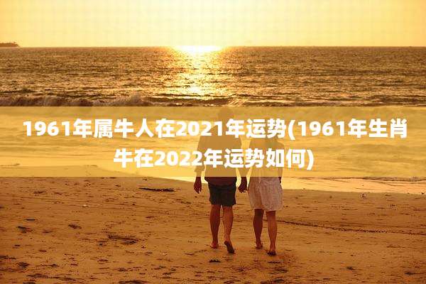 1961年属牛人在2021年运势(1961年生肖牛在2022年运势如何)