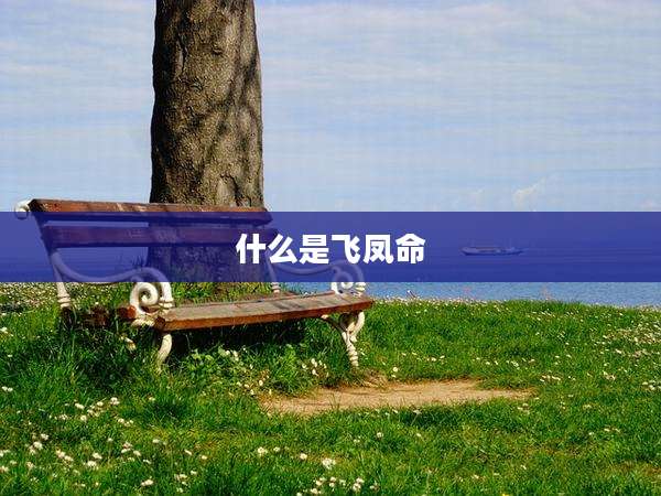 什么是飞凤命