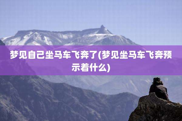 梦见自己坐马车飞奔了(梦见坐马车飞奔预示着什么)
