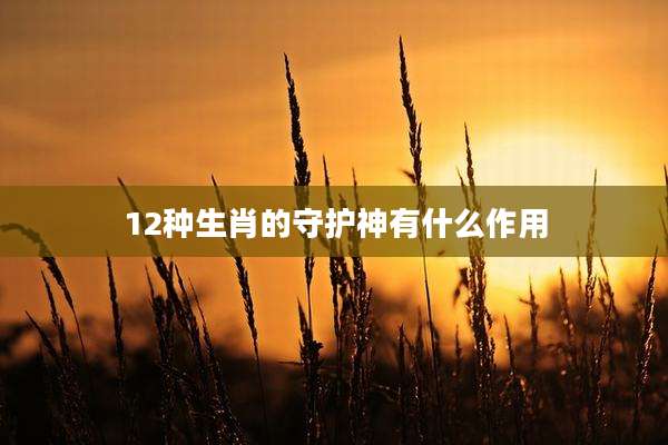 12种生肖的守护神有什么作用