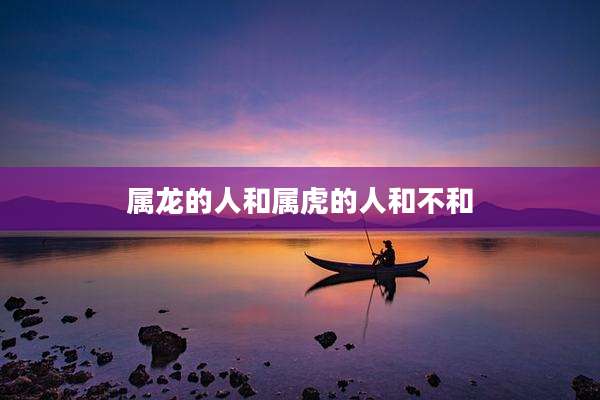 属龙的人和属虎的人和不和