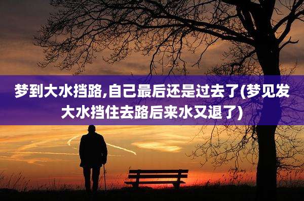 梦到大水挡路,自己最后还是过去了(梦见发大水挡住去路后来水又退了)