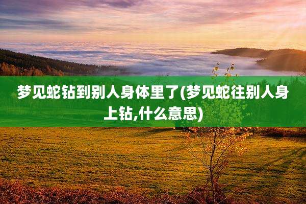 梦见蛇钻到别人身体里了(梦见蛇往别人身上钻,什么意思)