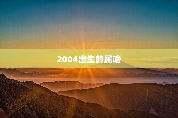 2004出生的属啥
