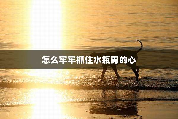 怎么牢牢抓住水瓶男的心