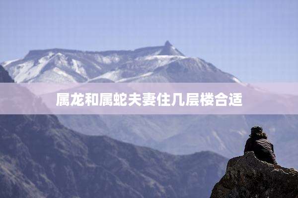 属龙和属蛇夫妻住几层楼合适