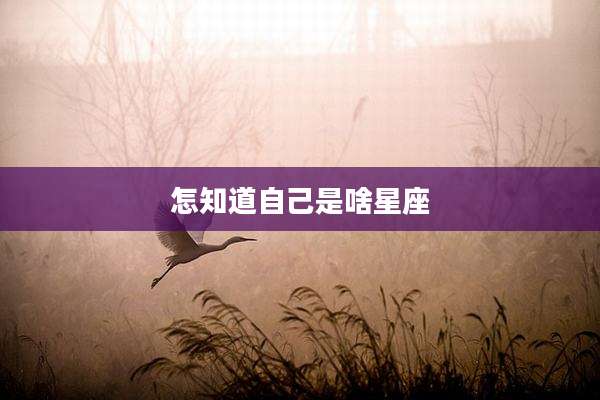 怎知道自己是啥星座