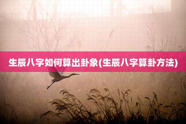 生辰八字如何算出卦象(生辰八字算卦方法)