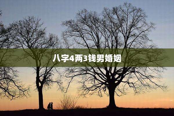 八字4两3钱男婚姻