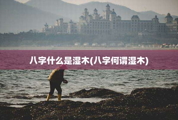 八字什么是湿木(八字何谓湿木)