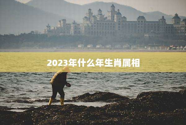 2023年什么年生肖属相