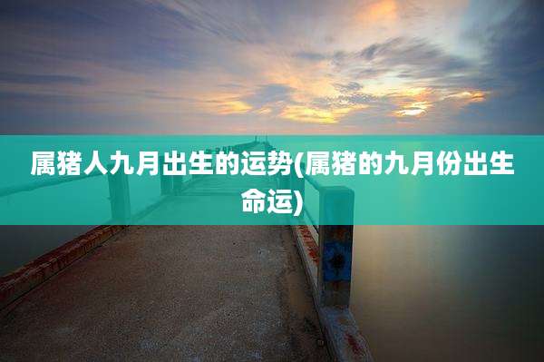 属猪人九月出生的运势(属猪的九月份出生命运)