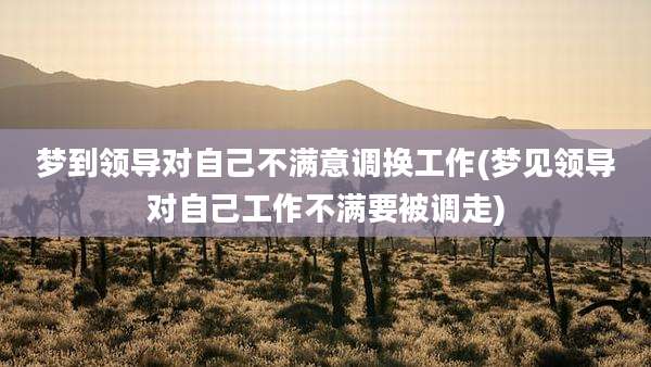 梦到领导对自己不满意调换工作(梦见领导对自己工作不满要被调走)