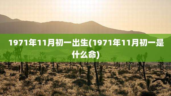 1971年11月初一出生(1971年11月初一是什么命)