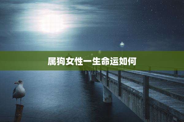 属狗女性一生命运如何