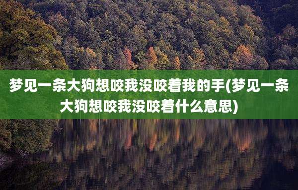 梦见一条大狗想咬我没咬着我的手(梦见一条大狗想咬我没咬着什么意思)