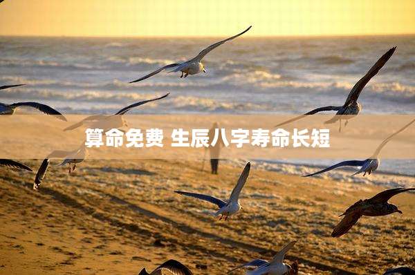 算命免费 生辰八字寿命长短