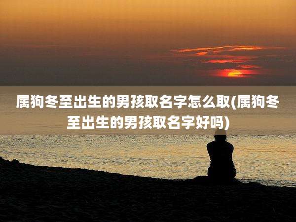 属狗冬至出生的男孩取名字怎么取(属狗冬至出生的男孩取名字好吗)