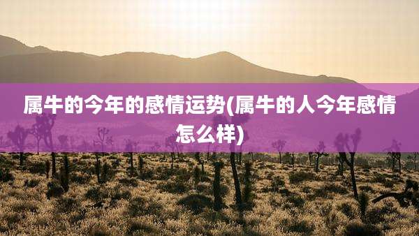 属牛的今年的感情运势(属牛的人今年感情怎么样)