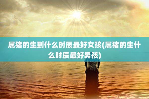 属猪的生到什么时辰最好女孩(属猪的生什么时辰最好男孩)