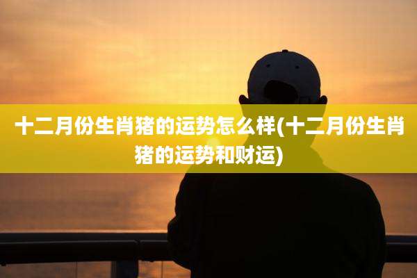 十二月份生肖猪的运势怎么样(十二月份生肖猪的运势和财运)