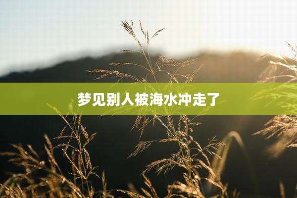 梦见别人被海水冲走了