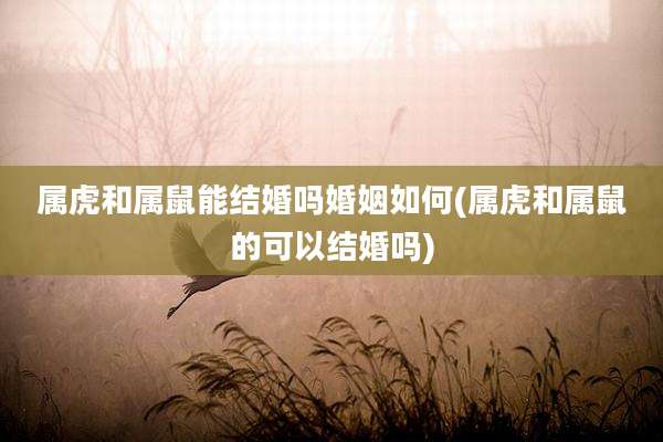 属虎和属鼠能结婚吗婚姻如何(属虎和属鼠的可以结婚吗)
