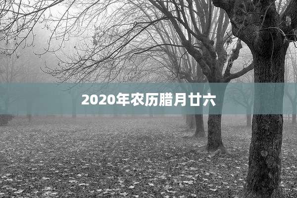 2020年农历腊月廿六