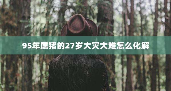 95年属猪的27岁大灾大难怎么化解