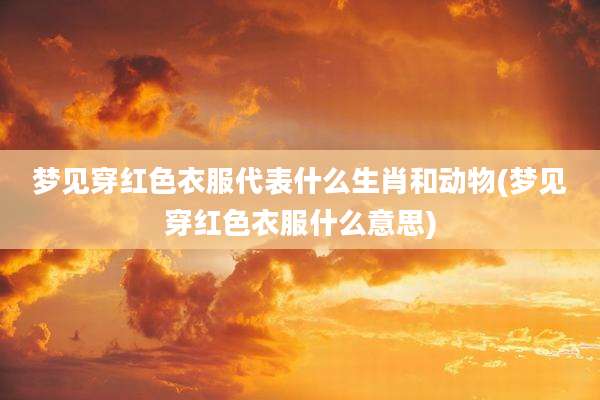 梦见穿红色衣服代表什么生肖和动物(梦见穿红色衣服什么意思)