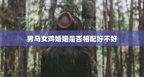 男马女鸡婚姻是否相配好不好
