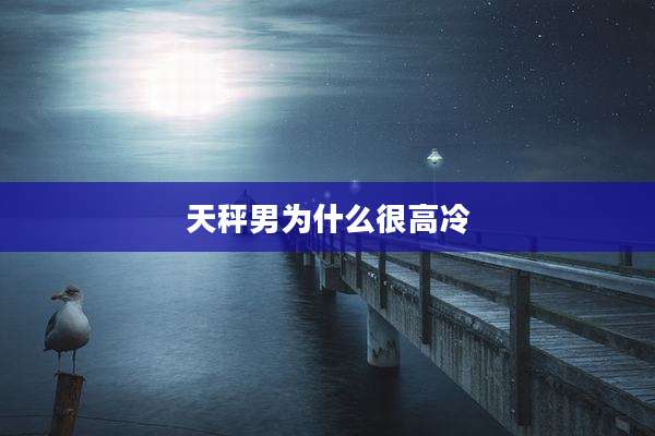 天秤男为什么很高冷