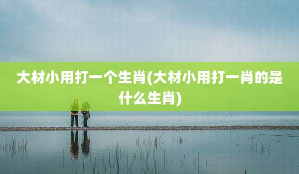 大材小用打一个生肖(大材小用打一肖的是什么生肖)