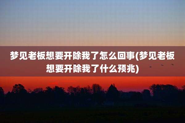 梦见老板想要开除我了怎么回事(梦见老板想要开除我了什么预兆)