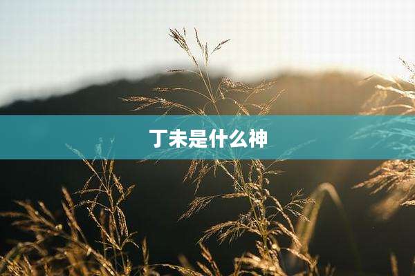 丁未是什么神