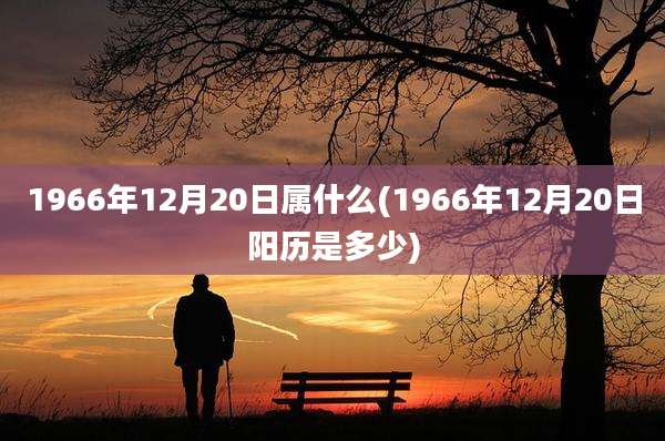 1966年12月20日属什么(1966年12月20日阳历是多少)