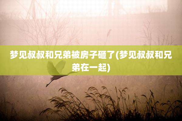 梦见叔叔和兄弟被房子砸了(梦见叔叔和兄弟在一起)