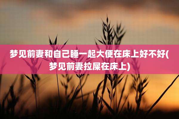 梦见前妻和自己睡一起大便在床上好不好(梦见前妻拉屎在床上)