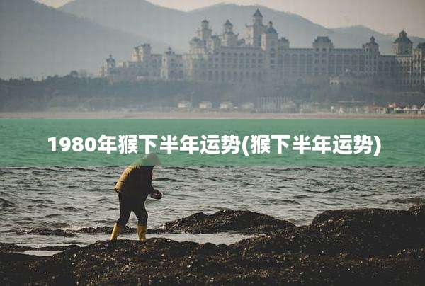 1980年猴下半年运势(猴下半年运势)