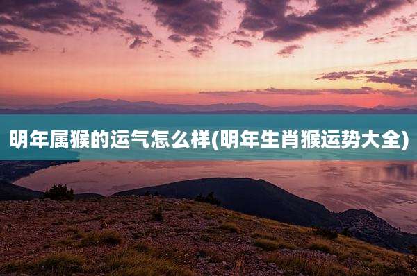 明年属猴的运气怎么样(明年生肖猴运势大全)