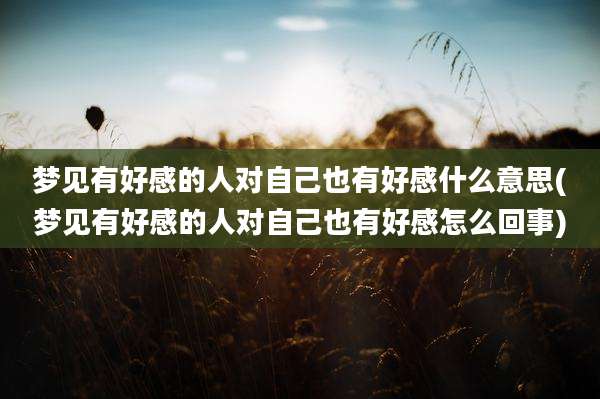 梦见有好感的人对自己也有好感什么意思(梦见有好感的人对自己也有好感怎么回事)