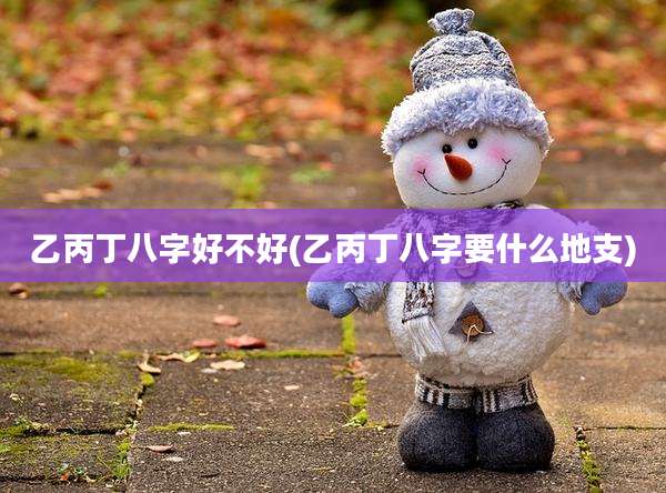 乙丙丁八字好不好(乙丙丁八字要什么地支)