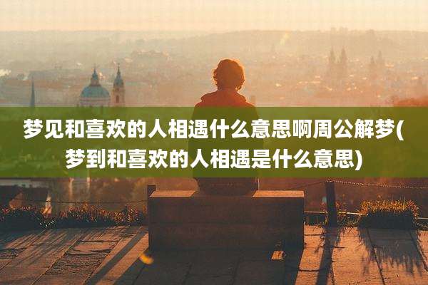 梦见和喜欢的人相遇什么意思啊周公解梦(梦到和喜欢的人相遇是什么意思)