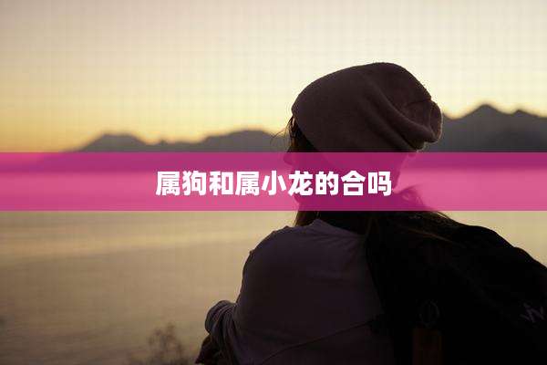 属狗和属小龙的合吗