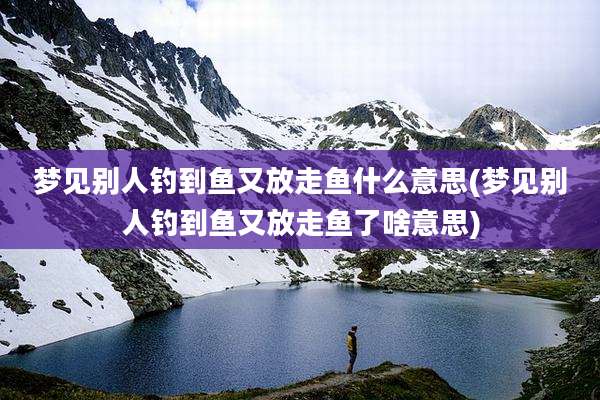 梦见别人钓到鱼又放走鱼什么意思(梦见别人钓到鱼又放走鱼了啥意思)