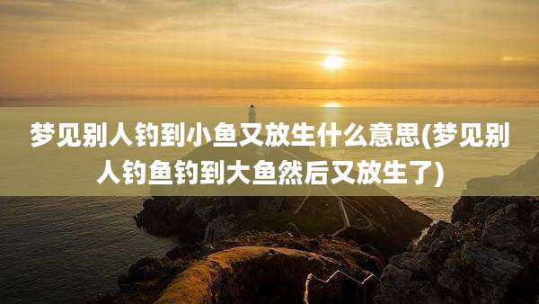 梦见别人钓到小鱼又放生什么意思(梦见别人钓鱼钓到大鱼然后又放生了)