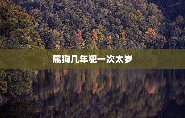 属狗几年犯一次太岁