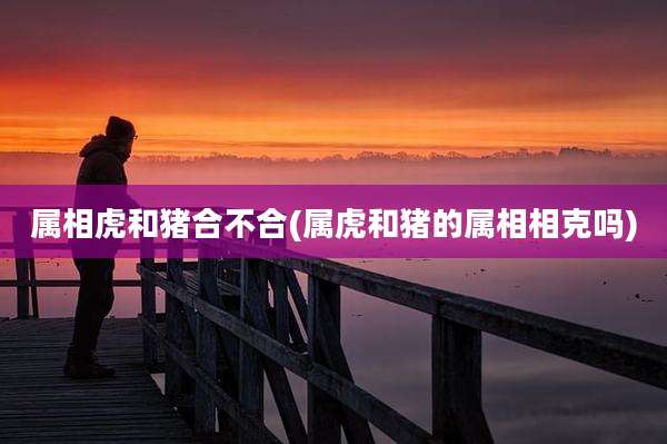 属相虎和猪合不合(属虎和猪的属相相克吗)