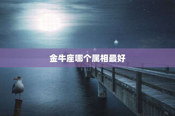 金牛座哪个属相最好