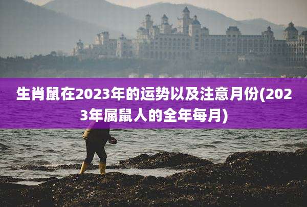 生肖鼠在2023年的运势以及注意月份(2023年属鼠人的全年每月)
